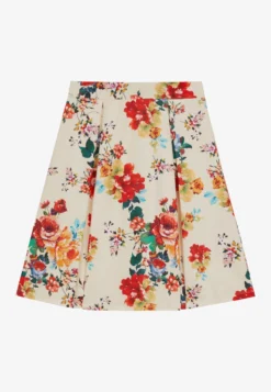 Anna Field A-Lijn Rok - Multi Coloured -Anna Field 0baa37a64f864d4d951b90b2bd86077e scaled