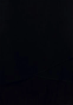 Anna Field Top -Black -Anna Field 145c47af3591495c9626ac091bc5a252 scaled